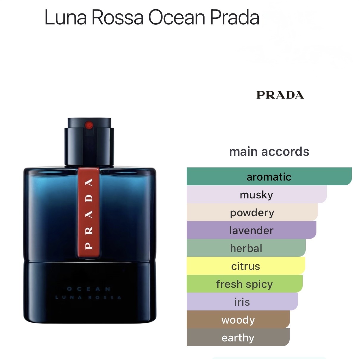 Prada Luna Rossa Ocean catalog page