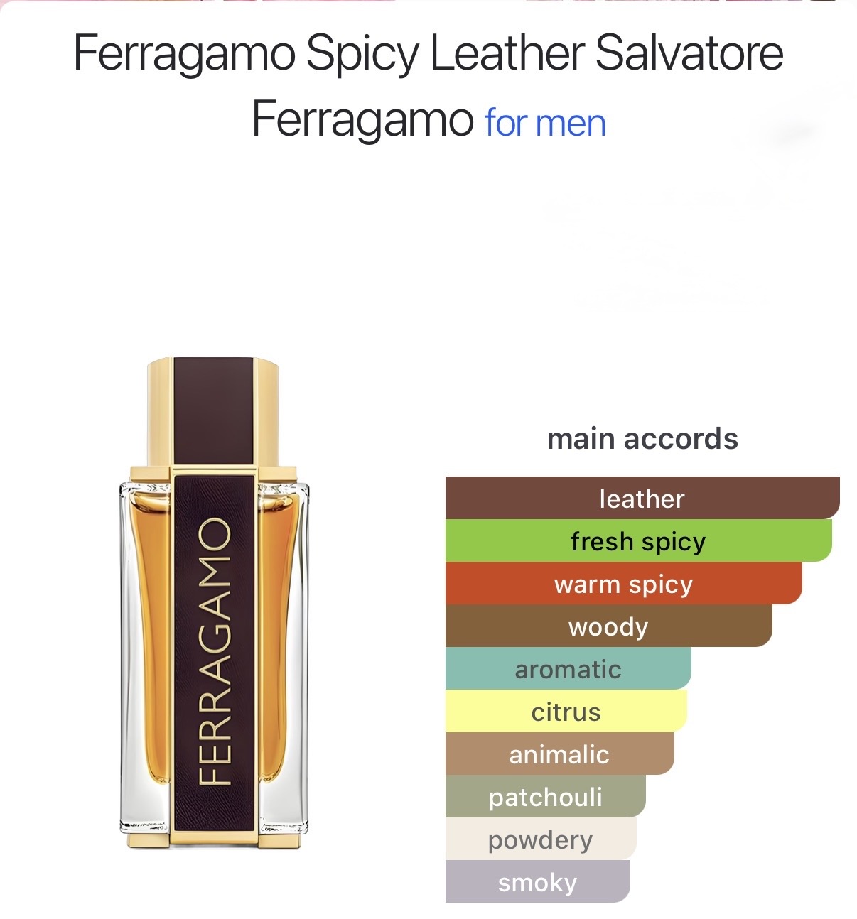 Salvatore Ferragamo Spicy Leather catalog page